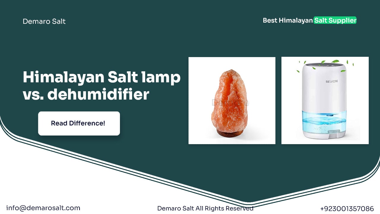 Himalayan Salt Lamp Care Guide