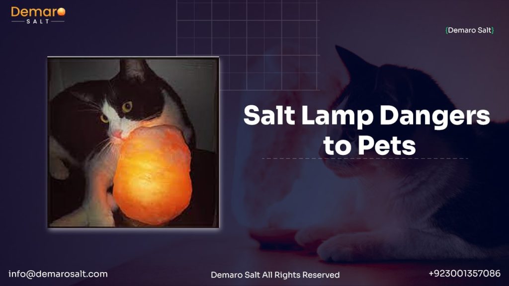 Protect Yourself Know the Dangers of Salt Lamps