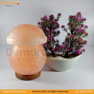 Himalayan Pink Leaf Salt Lamp
