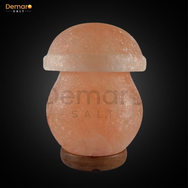 Leaf Himalayan Pink Salt Lamp