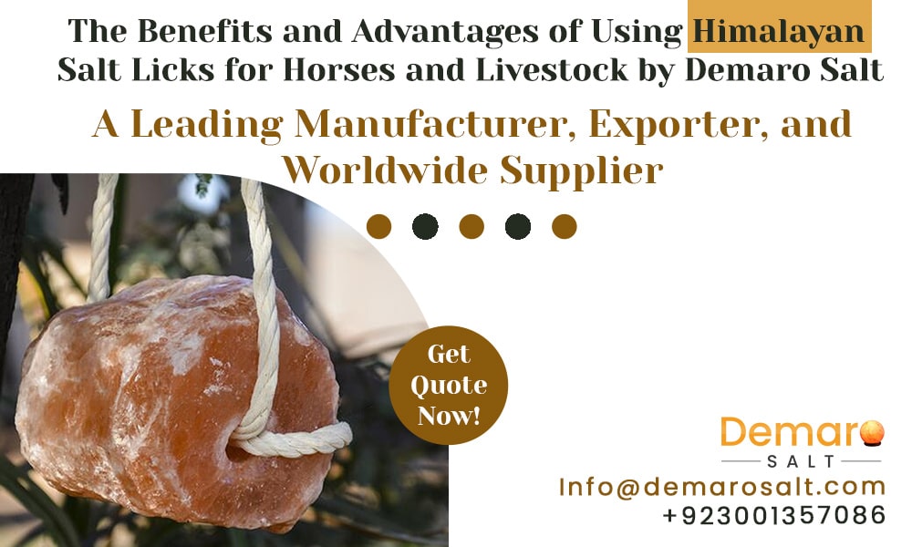 Himalayan Salt Licks Buy High Quality from Demaro Salt