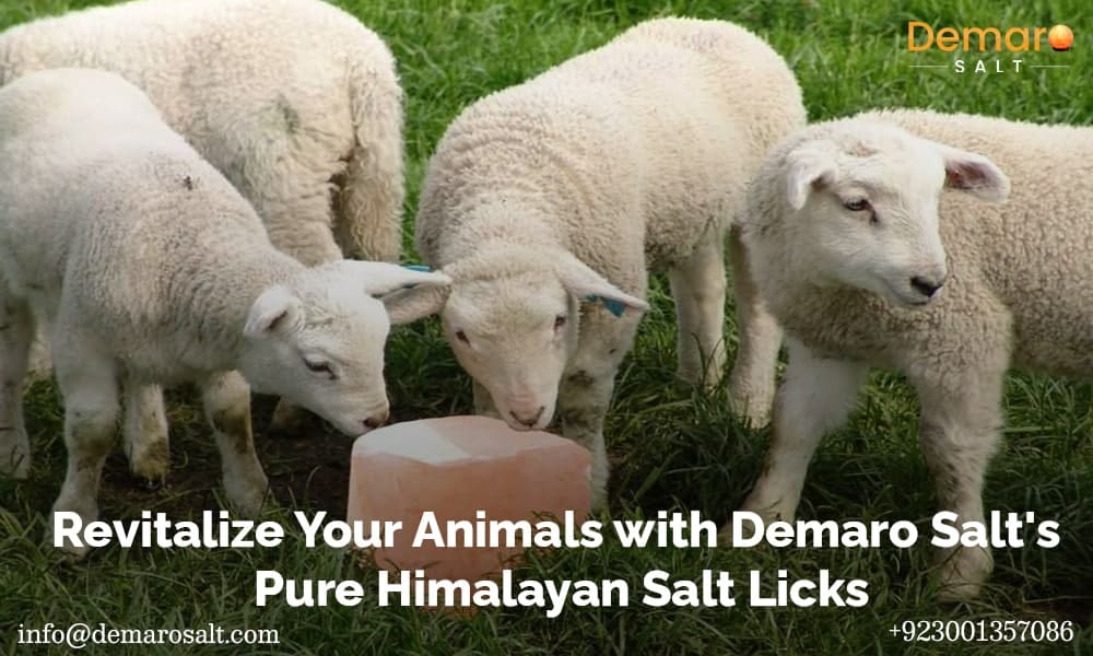 Salt Licks is a Natural Supplement for Horses Life with Himalayas