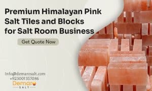 Premium Himalayan Pink Salt Tiles and Blocks for Salt Room Business.