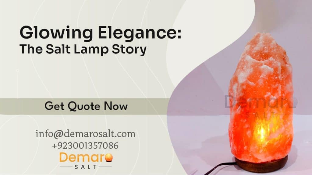 What is a Salt Lamp? A User & Business Perspective!