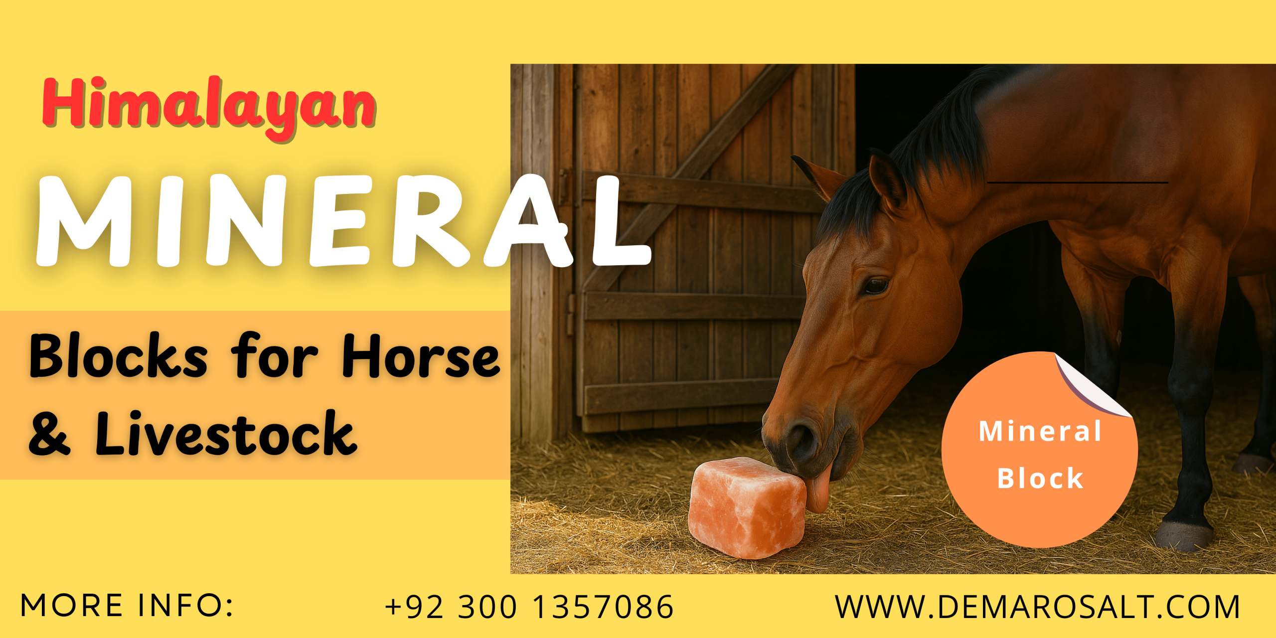 Horse licking a Himalayan mineral salt block on a farm field