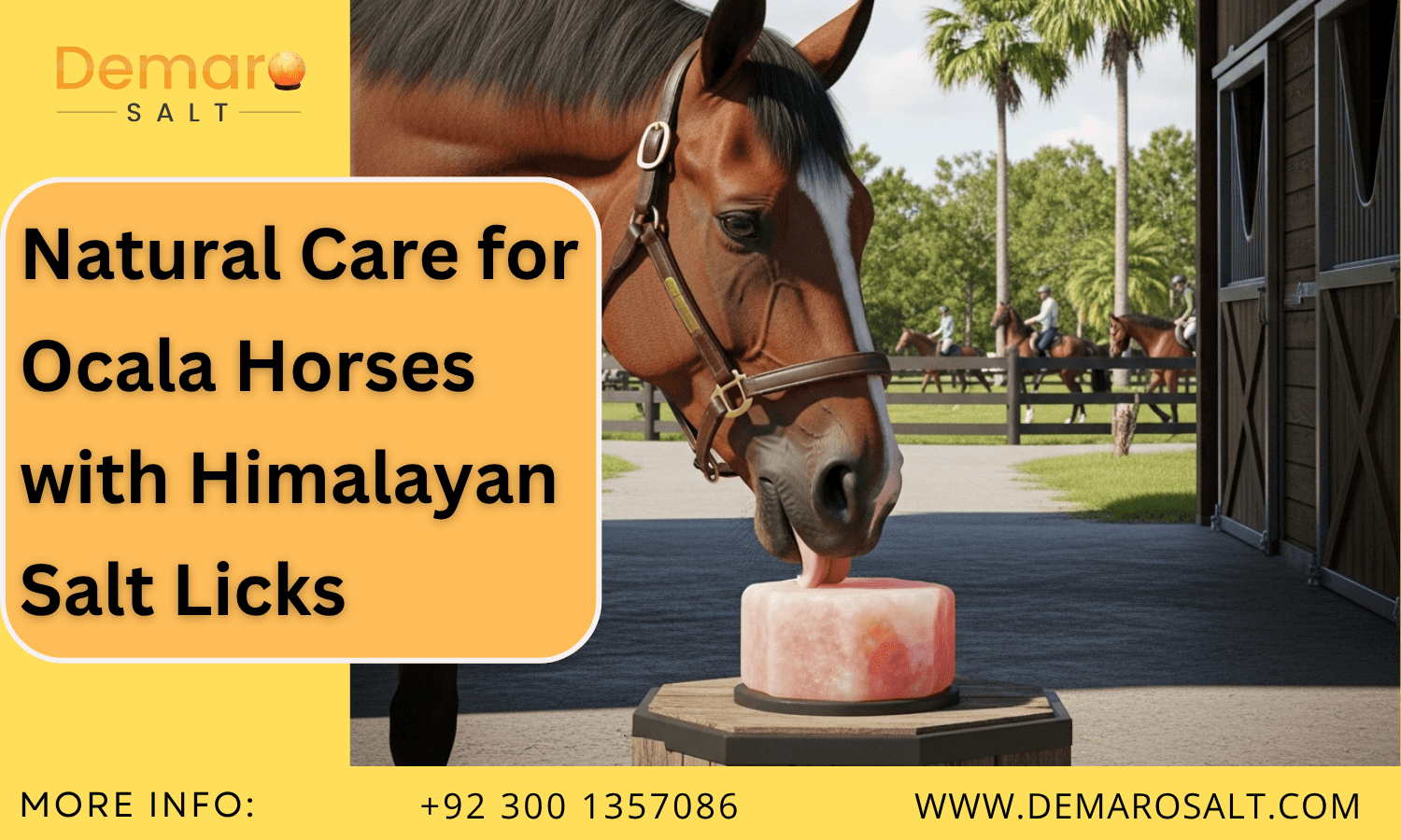 A horse at Florida Horse Park licking a natural Himalayan salt block beside a stable in Ocala, Florida.