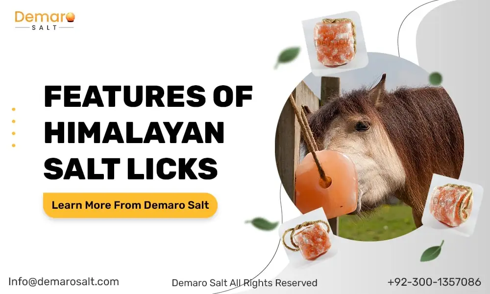 Himalayan Salt Licks for Horses