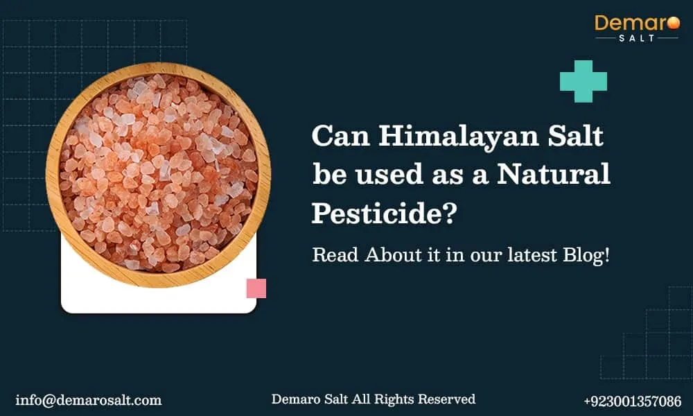 Can Himalayan salt be used as a Natural Pesticide?