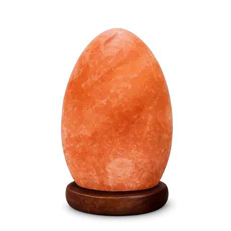 Egg Shaped Himalayan Salt Lamp