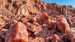 Why Is Himalayan Salt Pink? Insights Into Its Unique Color