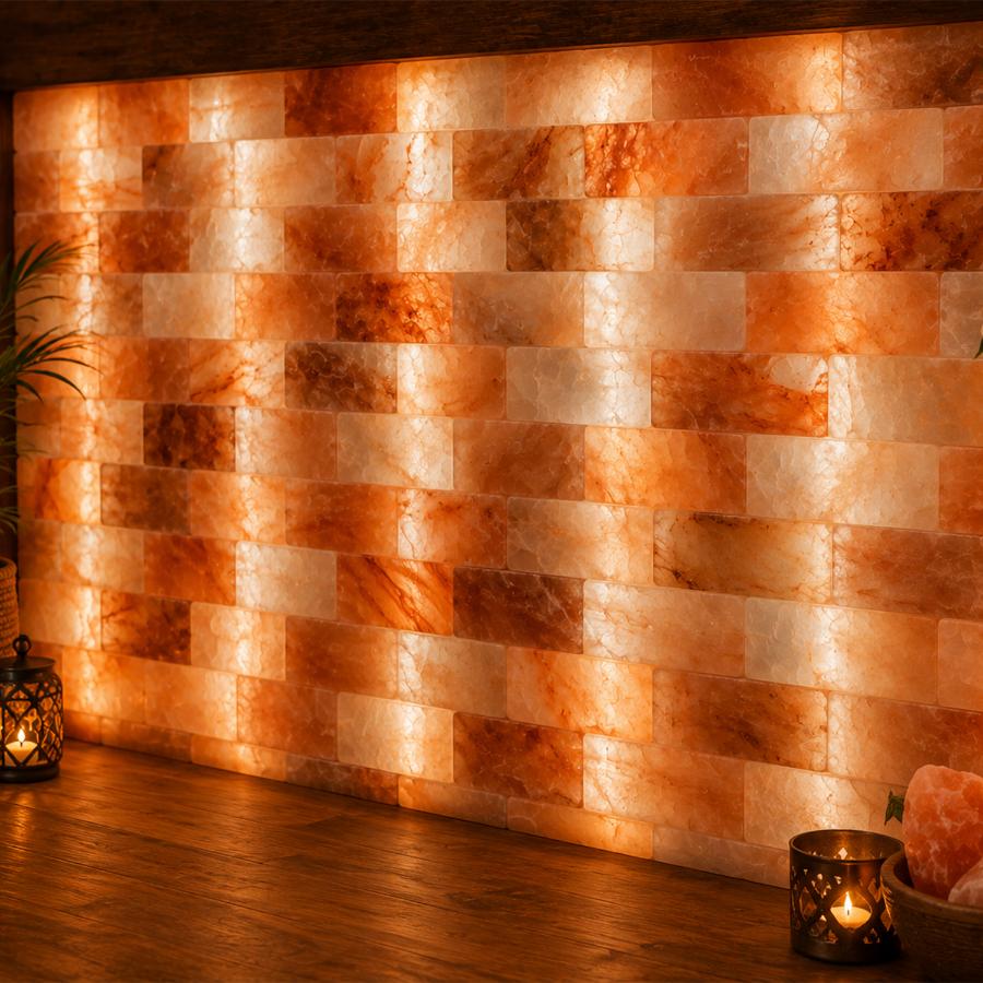 Salt bricks