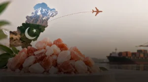how to import himalayan pink salt from pakistan