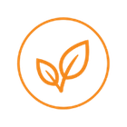 Vegan policy leaf icon
