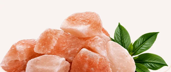 Himalayan salt rocks with fresh green leaves